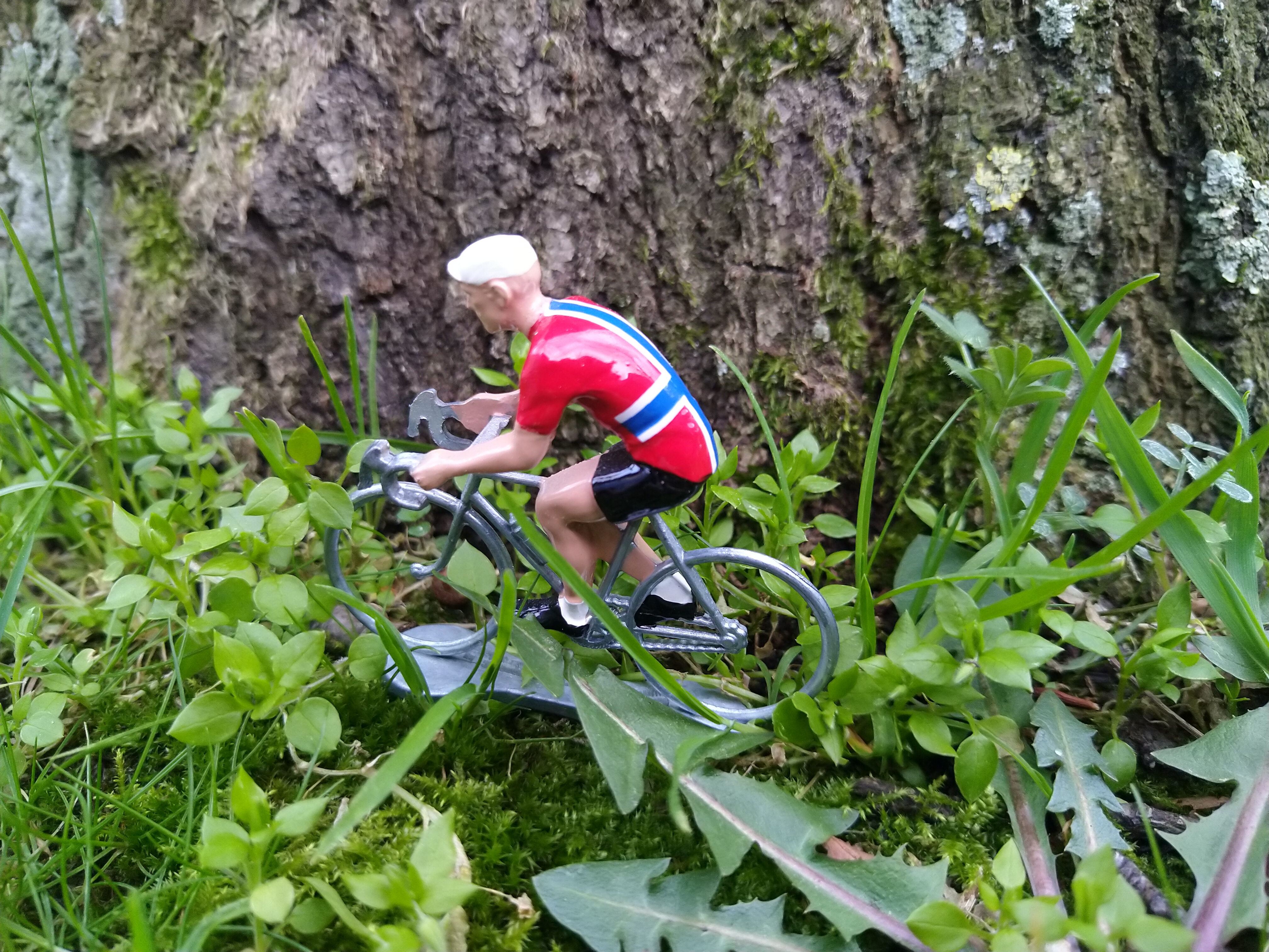 SLF LOO - Bike for trees 2025